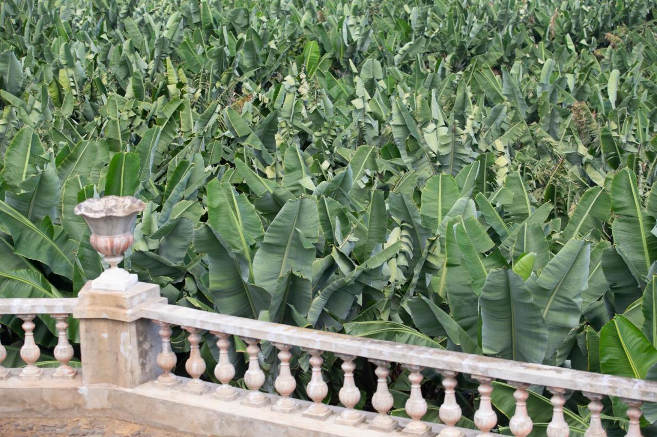 Hacienda Los Orovales Puerto de la Cruz  Esterno foto