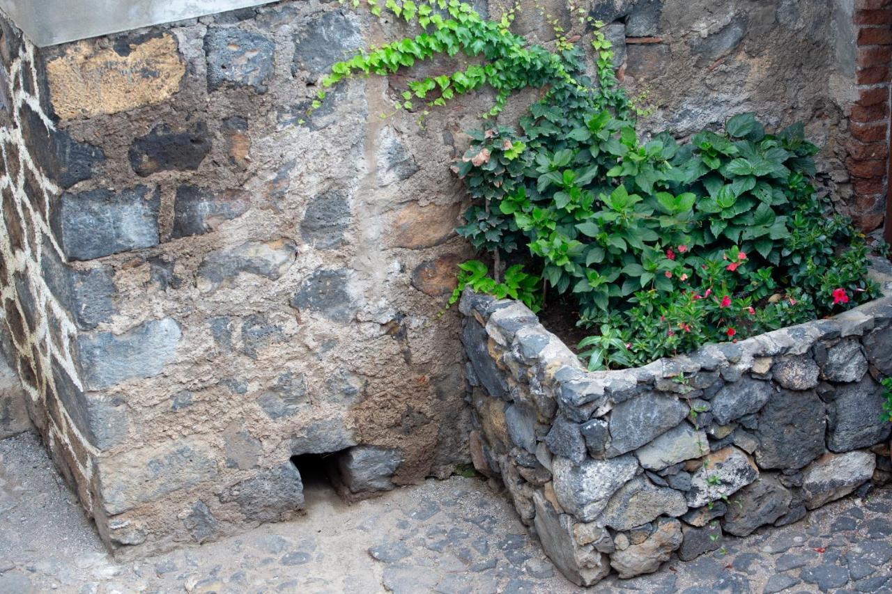 Hacienda Los Orovales Puerto de la Cruz  Esterno foto